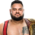 Bronson Reed NXT NA Champion